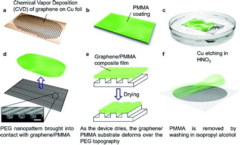 Graphene - Zastosowanie w Nanotechnologii i Inżynierii Tkankowej!