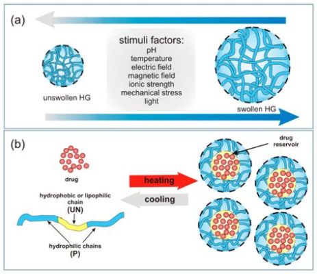 Hydrogel w nanotechnologii – rewolucja w dziedzinie medycyny regeneracyjnej i drug delivery?!