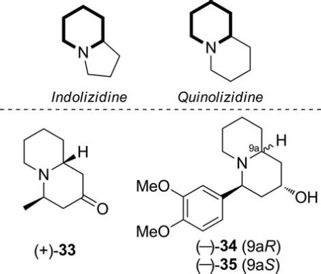  Quinolizidine Alkaloids - Co to jest i dlaczego powinieneś się nimi interesować w przemyśle farmaceutycznym?