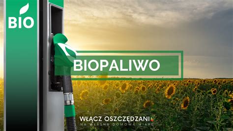 Yucca - Zastosowanie w Produkcji Biopaliw i Materiałów Budowlanych?